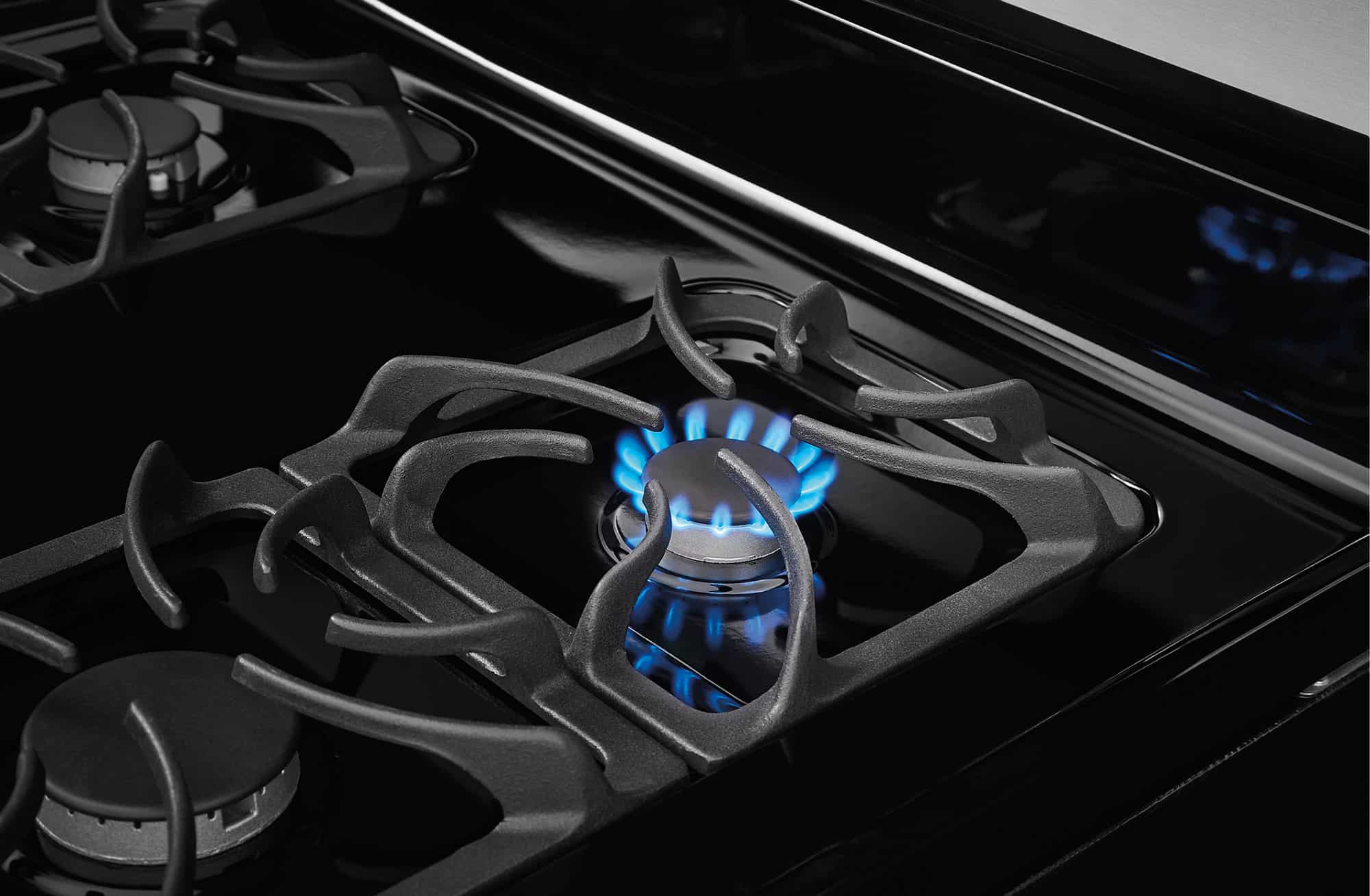 ffgf3053ls-burner